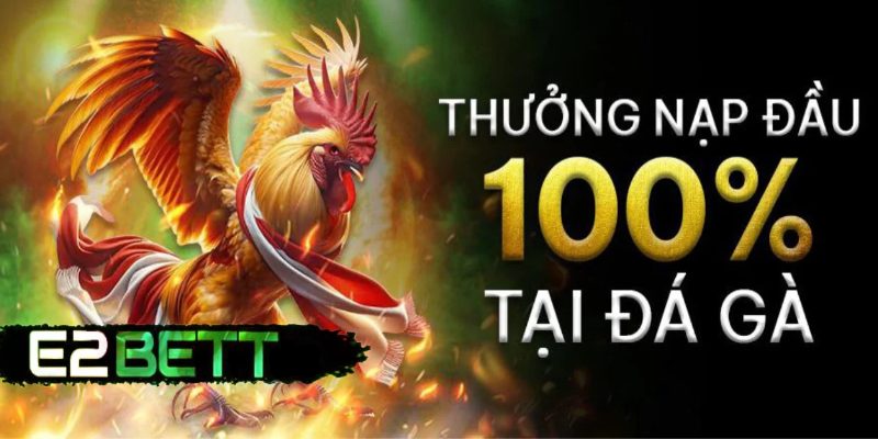 Khuyến mãi đỉnh nóc khi tham gia đá gà Thomo tại E2bet
