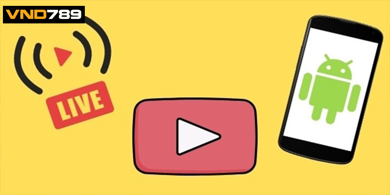 Cung cấp nhiều hình thức cá cược phong phú tại đá gà VND789