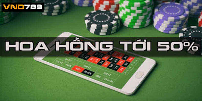 Công việc của một đại lý VND789 như thế nào?
