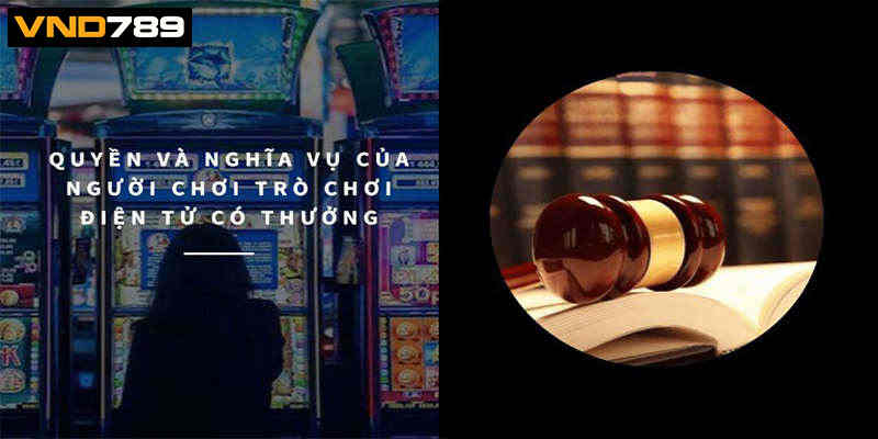 Quyền lợi đi đôi với trách nhiệm trong điều khoản và điều kiện VND789