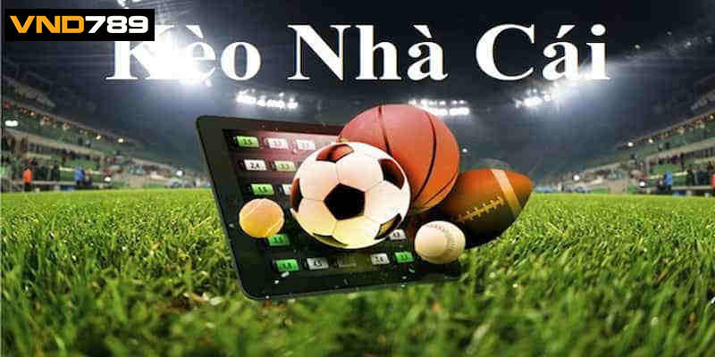 Giải thích về nhận định kèo bóng VND789
